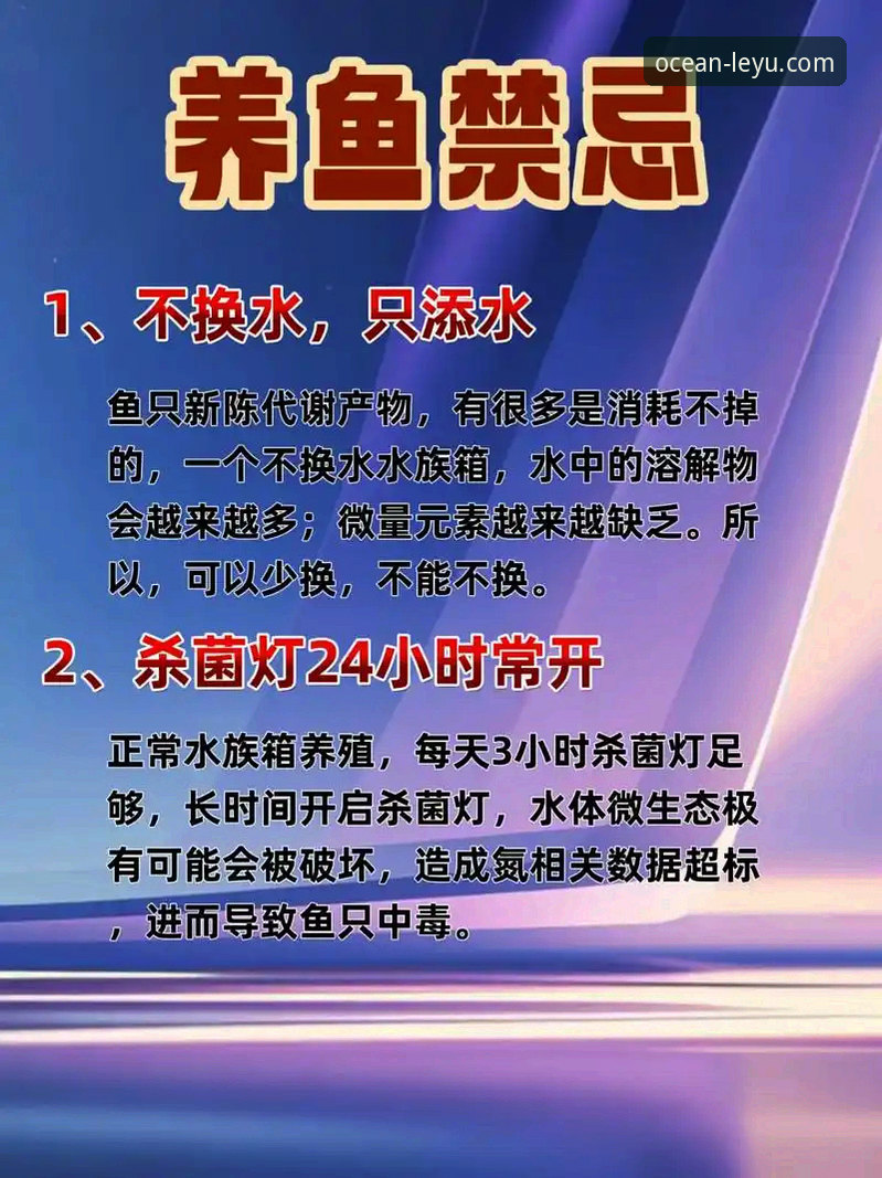 乐鱼安全吗？新手最关心的5个问题一次说清